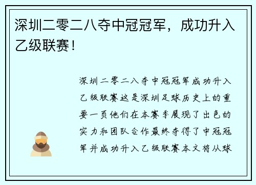 深圳二零二八夺中冠冠军，成功升入乙级联赛！